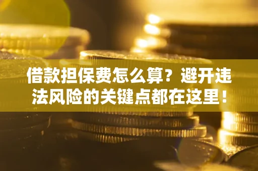 济南借款担保费怎么算？避开违法风险的关键点都在这里！