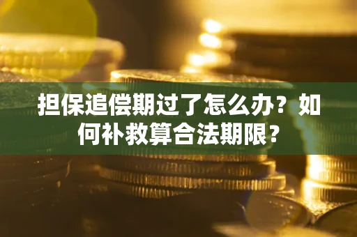 济南担保追偿期过了怎么办？如何补救算合法期限？