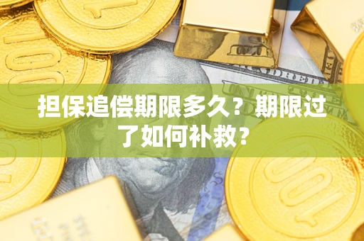 济南担保追偿期限多久？期限过了如何补救？
